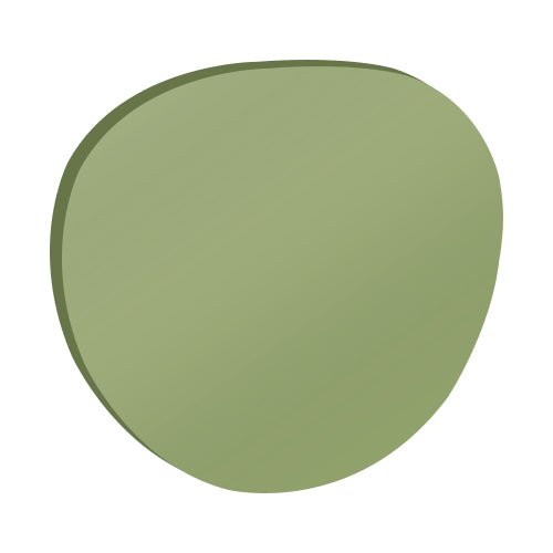 Donahugh-LensAdvizor-Light Green
